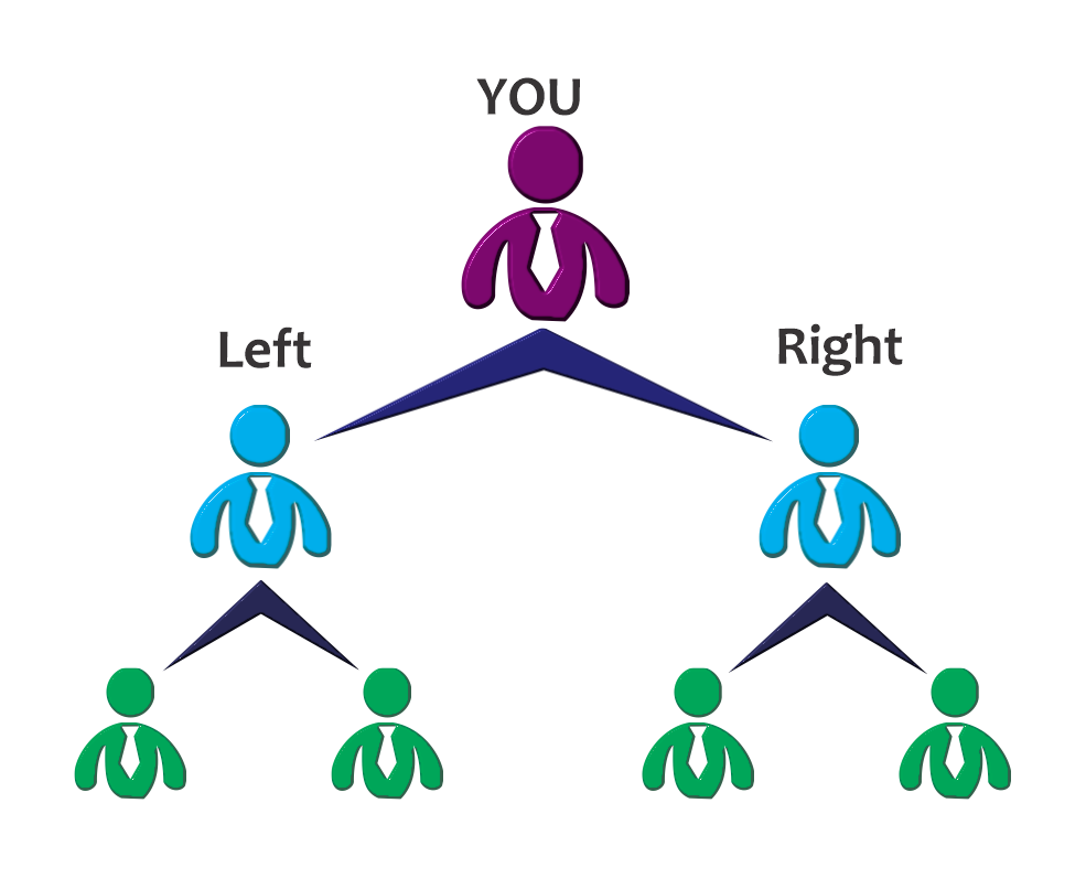 The Binary MLM Plan in 2025: A Complete Guide to Its Structure and Income Streams